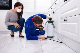 Reliable Absecon, NJ Pest control Solutions